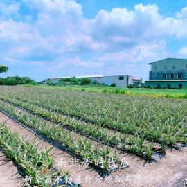 台南市區土地房屋 山上工業區旁２．５分都內農地