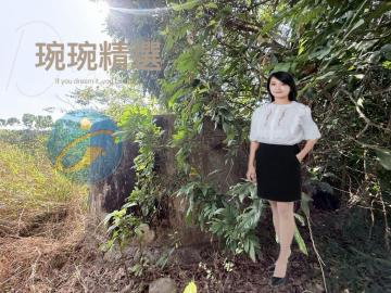 台南商仲推薦 楠西區翠綠芒源1.4分低總價平坦果園農地