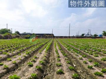 三崁低於行情一般農地18噸大貨車可到 北屯電梯社區