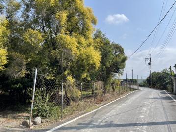 高雄農地變建地 南州交流道有水電開心農場