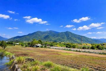 高雄農地變建地 高樹清靜優美山景農地