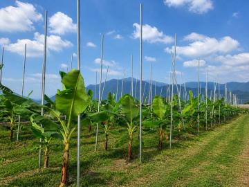 高雄農地變建地 富貴好山好水美農地