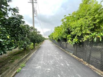 台南土地房屋 麻豆都內3.24分老欉文旦增值農地