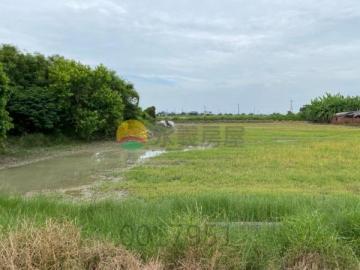  嘉義東石村莊內三角窗方正美農地