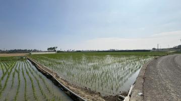 岡山廠房土地 路竹便宜農地