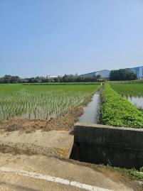 林口A7大樓 新屋東福路反恐中心農地	