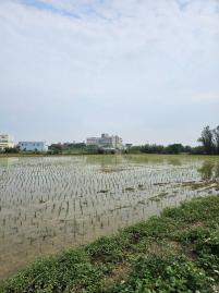 林口A7大樓 新屋市區都市計畫內中華段農地