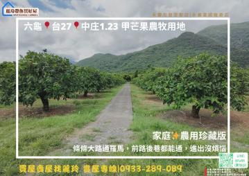 高雄房產達人 六龜 台27 中庄1.23 甲 芒果農牧用地
