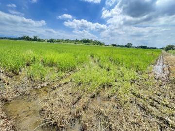永康廠房推薦 官田角秀段4.7分置產投資超高CP值都內農地