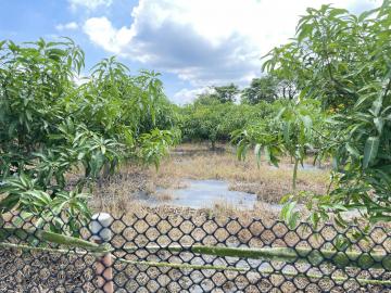 永康廠房推薦 官田區湖山段臨10米線道都計內農地