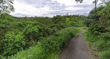 永康廠房推薦 低總價❤️大內區頭社段休閒農牧用地可當農保