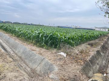 永康廠房推薦 出價談七股城內臨20米路近後港國小大面寬農地