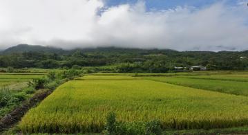 富里鄉高級農牧用地