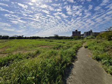 房地買賣諮詢 新屋後湖路農地