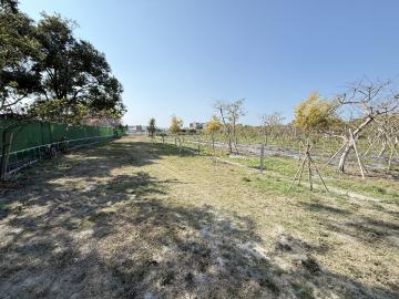 豐原房仲雙熊 后里泰安車站邊的小農地