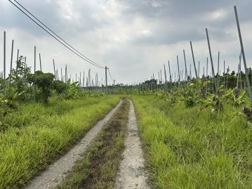 萬巒近豬腳街農地　屏東好屋推薦