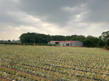 屏東潔出房仲 高樹慢悠理想田園築夢農地