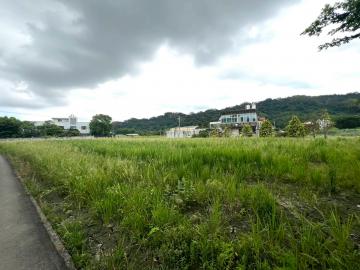 新竹好屋推薦 專任『璞玉計畫徵收範圍內臨路美農地』