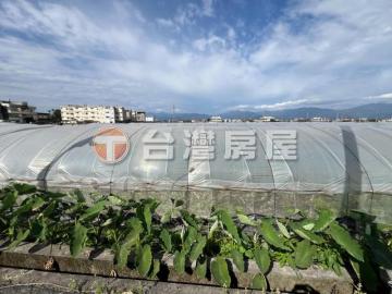 宜蘭農地農舍 高鐵預定地新福段低門檻農地A