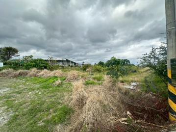 台東透天好屋 豐源優質農地
