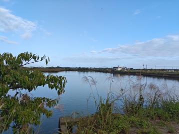 宜蘭縣礁溪鄉 二千坪優美魚塭 新店社區房價