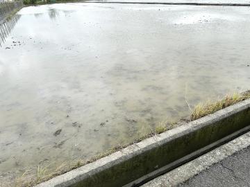 新營房地專家 柳營小腳腿1.5分美農地