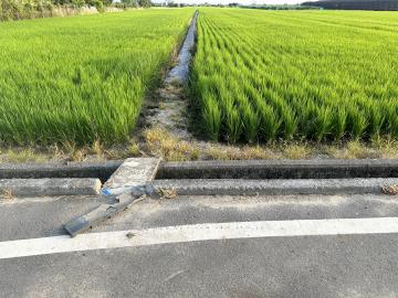 新營房地專家 柳營大腳腿3.9分美農地