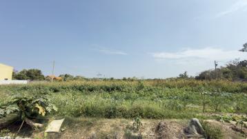 新營房地專家 柳營省道旁三面臨路2.7分美農地