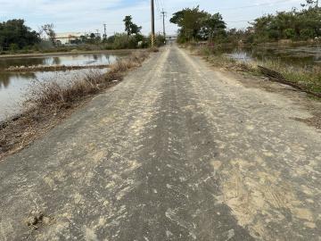 新營房地專家 柳營酪農路3.9分美農地