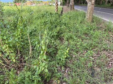 新營房地專家 柳營義士路1.7分美農地