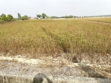 新營房地專家 後壁長短樹7.46分美濃地