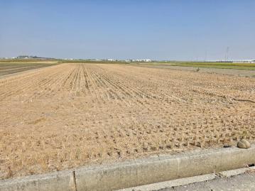 新營房地專家 後壁新港東3分優質農地