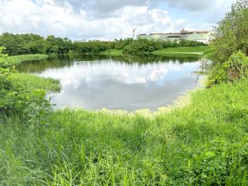 新營房地專家 官田南部3.3甲魚塭