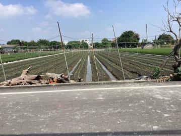 員林房屋買賣 田尾阿嬤私房菜旁美田地
