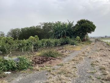 員林房屋買賣 溪州過溪段一般農業區農保田地
