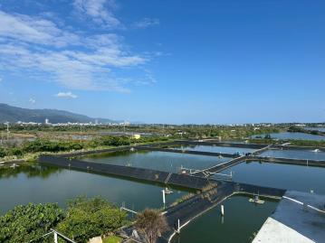 宜蘭礁溪買地 頭城下埔綠色隧道旁美農地