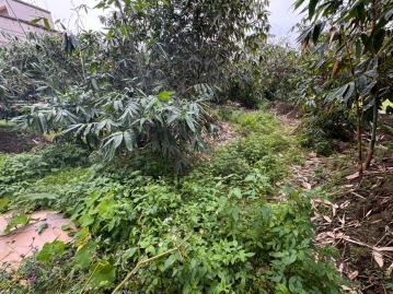 宜蘭礁溪買地 員山鄉公所都內住宅用地