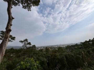 宜蘭礁溪買地 員山慧燈中學山坡林地