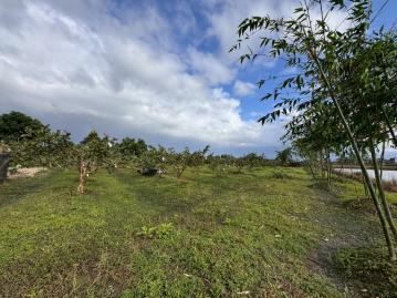 宜蘭礁溪買地 員山近國中國小足坪農地
