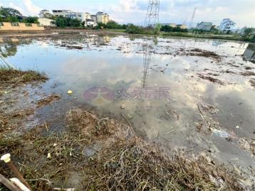 宜蘭礁溪買地 五結高速公路旁美農地