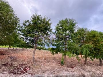 宜蘭礁溪買地 員山成功雙面路美農地