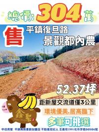 桃園土地專家 張聖諺 平鎮復旦路景觀都內農