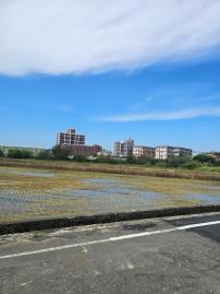 桃園土地專家 張聖諺 新屋後湖優質美農地