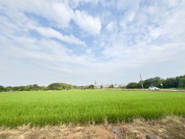 桃園土地專家張聖諺 新屋大馬路雙面路農地（農二）可申請合法建物