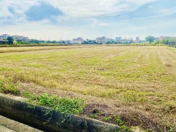 中壢房產達人阿龍 觀音廣福月桃路美農田