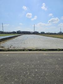 中壢房產達人阿龍 新屋寶樹路環境系美農田