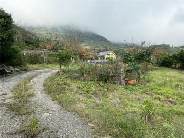 台北房地找阿雄 陽明山竹子湖有臨路休閒農地平整好利用