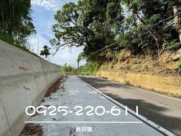 桃園房產達人詩雅 新埔照門景觀農地