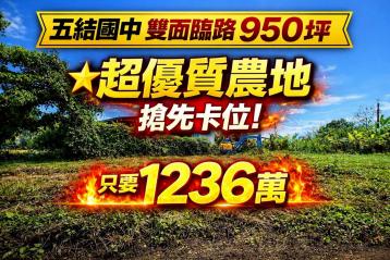 宜蘭房仲一哥 近國五雙面臨路950坪優質農地