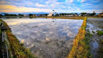 宜蘭房仲一哥 三星路邊千坪美農地